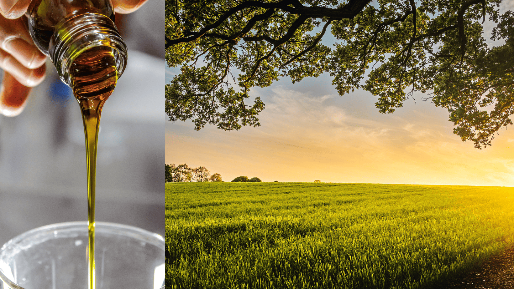 Discover the Natural Healing Power of Essential Oils for Hemorrhoids