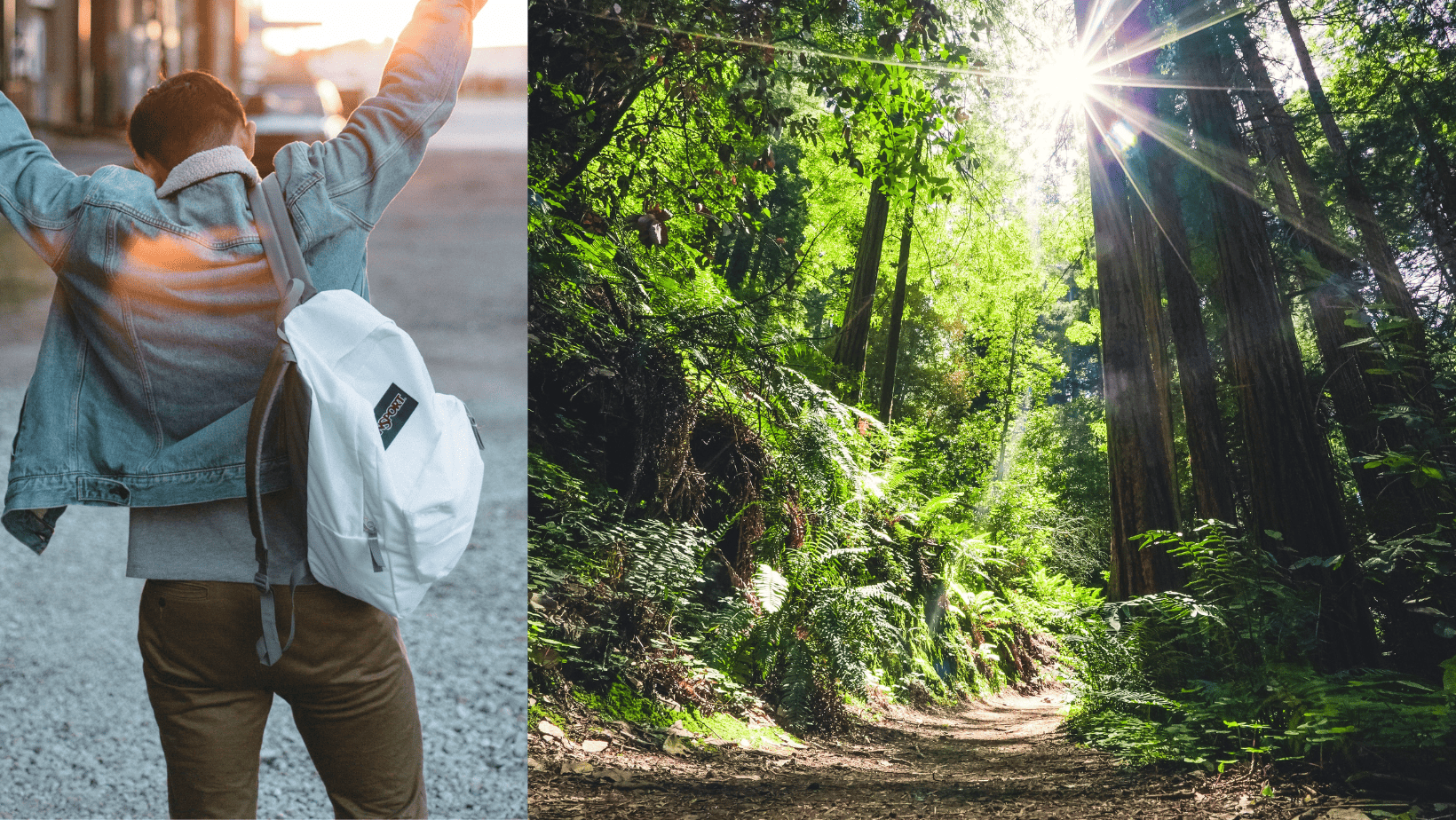 What Makes Hemorrhoids Go Away? Heal Your Hemorrhoids